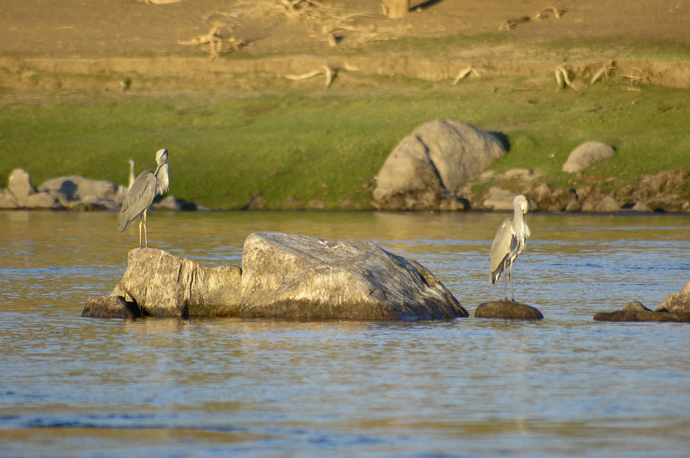 Sur les traces de Christian Jacq… ou petit voyage en Egypte antique