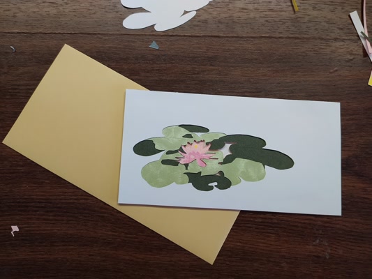 Nénuphar par la bibliothèque de papier