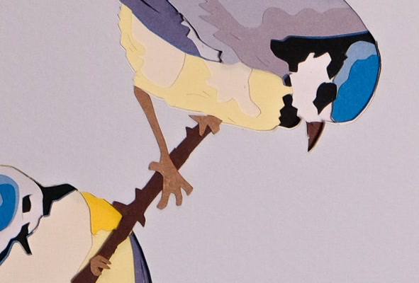 Mésanges par la bibliothèque de papier